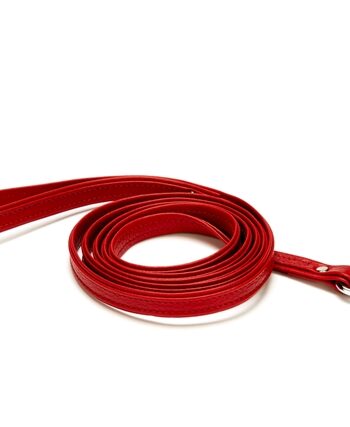 Doggie Flotter El Yapımı Deri Köpek Gezdirme Kayışı 1,5 cm x 150 cm Kırmızı