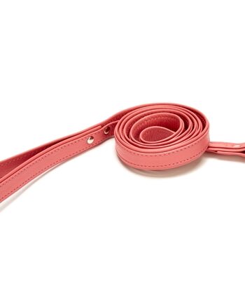 Doggie Flotter El Yapımı Deri Köpek Gezdirme Kayışı 1,5 cm x 150 cm Pembe