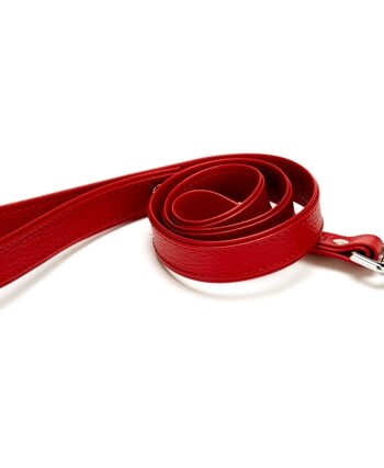 Doggie Flotter El Yapımı Deri Köpek Gezdirme Kayışı 2,5 cm x 90 cm Kırmızı