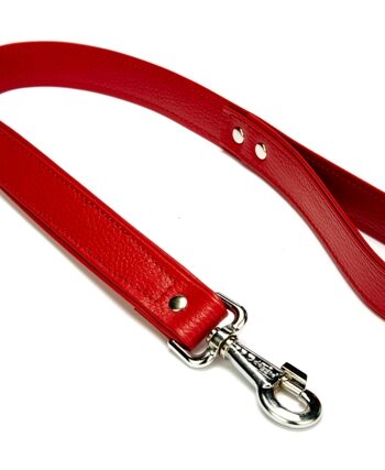 Doggie Flotter El Yapımı Deri Köpek Gezdirme Kayışı 3 cm x 60 cm Kırmızı