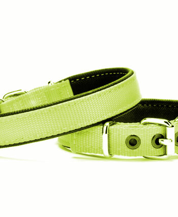 Yumuşak Doku Köpek Boyun Tasması 2,5/55 cm Yeşil