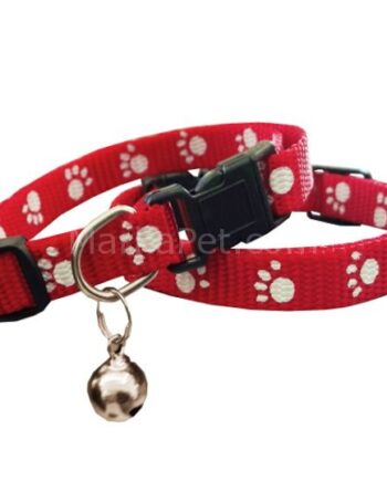 Eastland Zilli Patili Kedi Boyun Tasması 10mm*23-35 cm