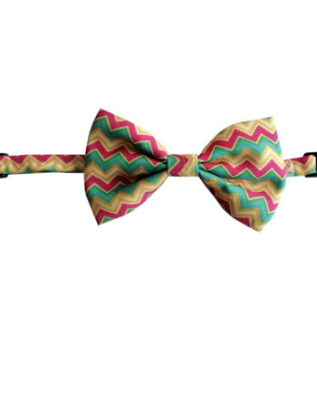 Zikzak Köpek Papyonu 26-56 Cm