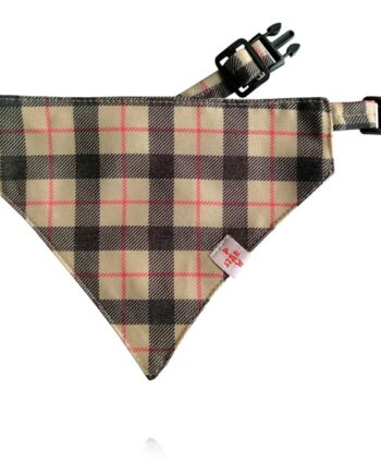 Pawstar Parantez Fularlı Köpek Tasması 26-56 cm