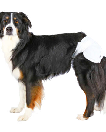 Trixie Köpek Pedi 12 adet M Orta Boy