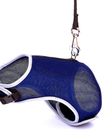Doggie Havalı Ped Göğüs Tasma Seti Mavi 25*30 cm + 110 cm