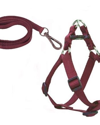 Köpek Göğüs Tasma Seti 25-40 cm Kırmızı + Gezdirme Kayışı