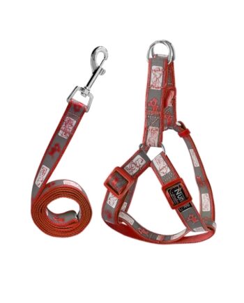 Köpek Göğüs Tasma Seti Köpek Desenli 120 cm-34 cm-47 cm Turuncu