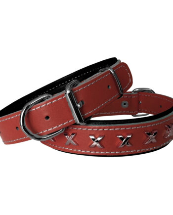 Markapet Deri Metal İşlemeli Köpek Boyun Tasması 2,5 x 40-50 cm Kiremit