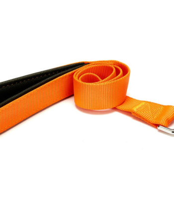 Markapet Köpek Gezdirme Kayışı 2 cm x 115 cm Turuncu