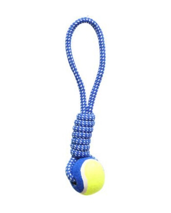 Markapet İpli Dental Köpek Oyun ve Eğitici Topu 6 cm - 35 cm Mavi