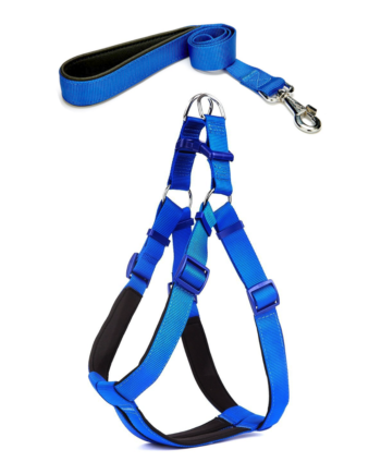 Köpek Göğüs Tasma Seti 30-40 cm Mavi + Gezdirme Kayışı