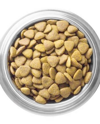 Animal World Kuzu Etli ve Pirinçli Yavru Köpek Maması 1kg Açık mama