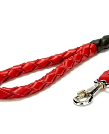 Doggie Örgü Deri Köpek Gezdirme 2.5*60 cm Kırmızı
