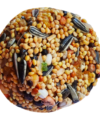 Markapet Pareket Papağan Ballı Meyveli Mineral Blok 100 gr