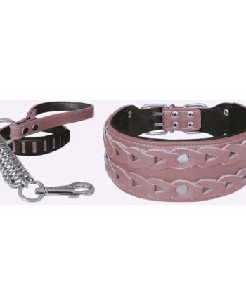 Markapet Elegance Deri İşlemeli Lüks Köpek Tasma Seti XL 7 cm*60-68 cm Pudra