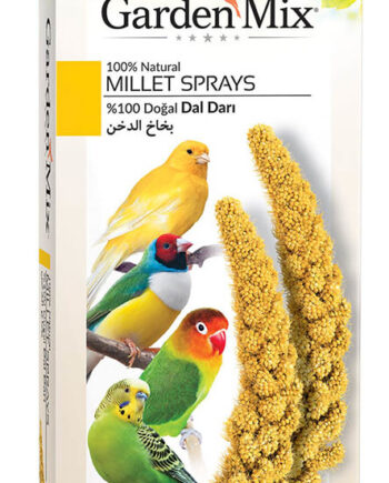 Gardenmix Platin Sarı Dal Darı 150 gr