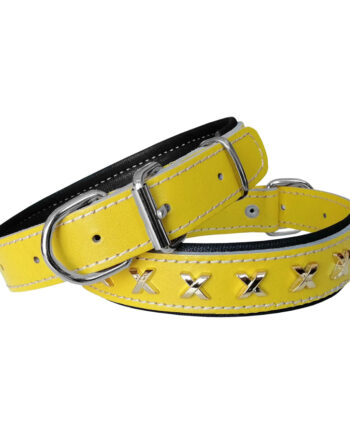 Markapet Deri Metal İşlemeli Köpek Boyun Tasması 2,5 x 40-50 cm Sarı