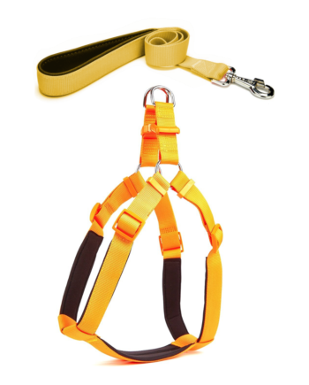 Köpek Göğüs Tasma Seti 40-60 cm Sarı + Gezdirme Kayışı