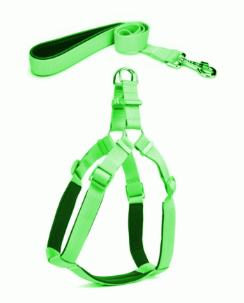Köpek Göğüs Tasma Seti 40-60 cm Yeşil + Gezdirme Kayışı