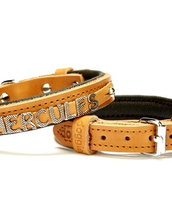 Doggie Deri İsimlikli Köpek Tasması 1,5x25-30 cm Kamel
