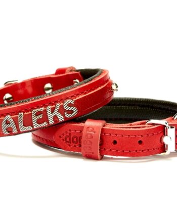 Doggie Deri İsimlikli Köpek Tasması 1,5x25-30 cm Kırmızı