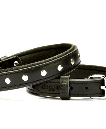 Doggie Deri Rivetli Köpek Tasması 2x35-40 cm Siyah