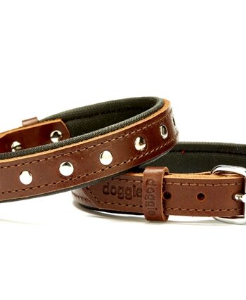 Doggie Deri Rivetli Köpek Tasması 2x35-40 cm Kahverengi