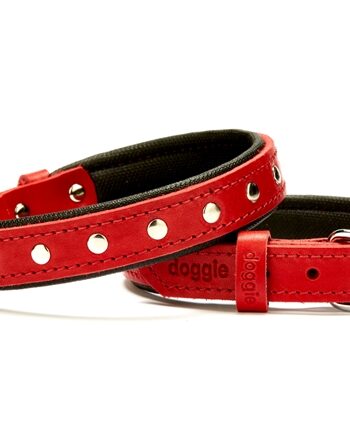Doggie Deri Rivetli Köpek Tasması 2x35-40 cm Kırmızı
