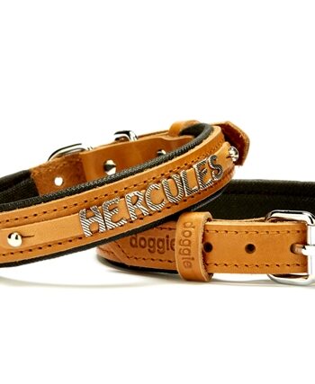 Doggie Deri İsimlikli Köpek Tasması 2x35-40 cm Kamel