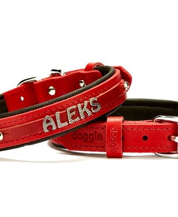 Doggie Deri İsimlikli Köpek Tasması 2x35-40 cm Kırmızı