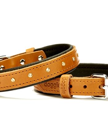 Doggie Konforlu Deri Swarovski Kristal Taşlı Köpek Boyun Tasması 2 x 28-34 cm Kamel