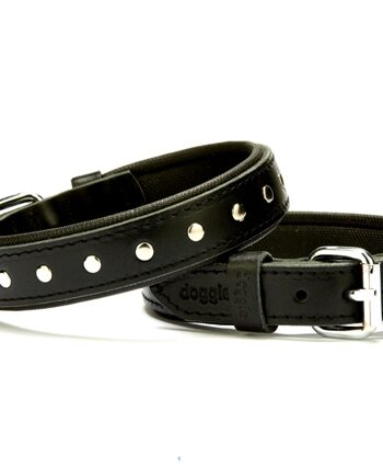 Doggie Deri Rivetli Köpek Tasması 2,5x37-45 cm Siyah