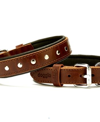 Doggie Deri Rivetli Köpek Tasması 2,5x37-45 cm Kahverengi
