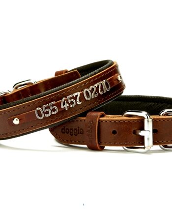 Doggie Deri İsimlikli Köpek Tasması 2,5x37-45 cm Kahverengi