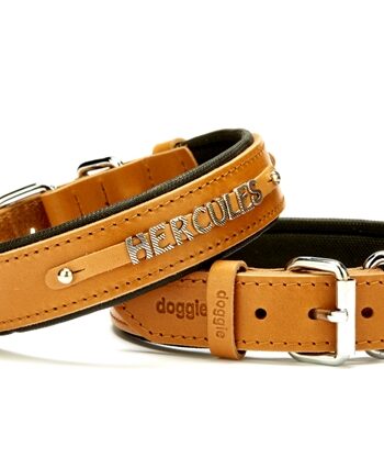 Doggie Deri İsimlikli Köpek Tasması 3x42-50 cm Kamel