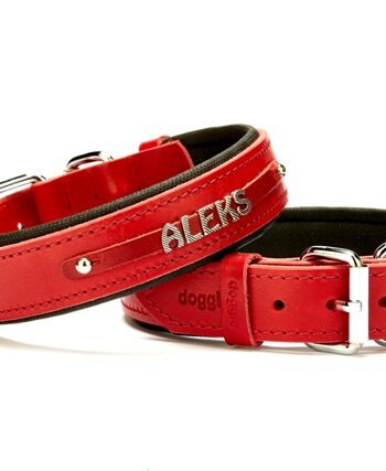 Doggie Deri İsimlikli Köpek Tasması 3x42-50 cm Kırmızı