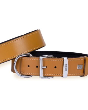 Doggie Konfor Deri El Yapımı Köpek Boyun Tasması 5x50-60 cm Kamel