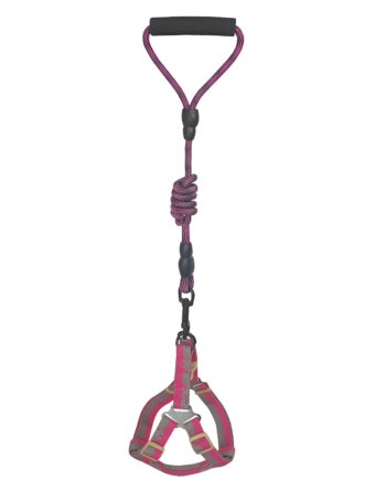 Köpek Göğüs Tasma Seti Dalga Desenli 2 cm*40-58 cm Mor-Pembe