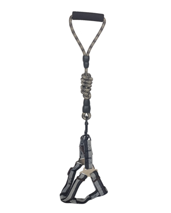 Köpek Göğüs Tasma Seti Dalga Desenli 2.5 cm*50-72 cm Siyah-Beyaz