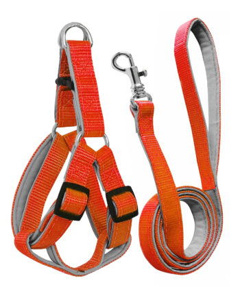Gezdirme Kayışlı Dokuma Köpek Göğüs Tasma Seti 52*73-110 cm Turuncu