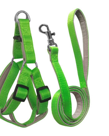 Gezdirme Kayışlı Dokuma Köpek Göğüs Tasma Seti 52*73-110 cm Neon Yeşil