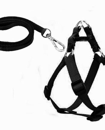 Köpek Göğüs Tasma Seti 25-40 cm Siyah + Gezdirme Kayışı