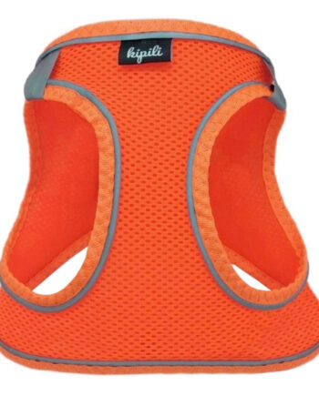 Üç Kilitli Sportif Kedi Köpek Göğüs Tasması 32-40 cm Medium Turuncu