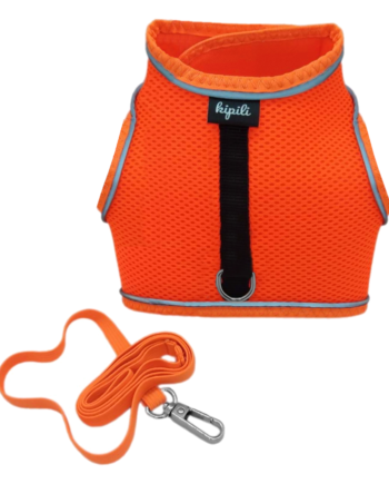 Çift Kilitli Sportif Kedi Köpek Göğüs Tasma Seti 30-38 cm Small Turuncu