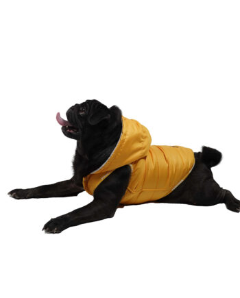 Pawstar Küçük Irk Sarı Sport Köpek Yeleği Small 25 Cm