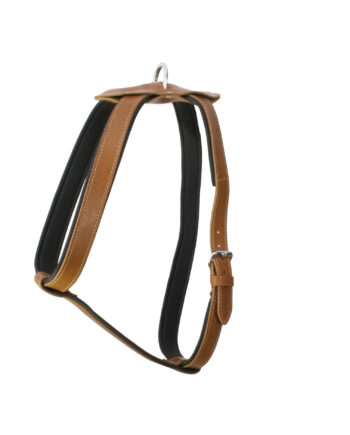Doggie Konforlu Deriden El Yapımı Köpek Göğüs Tasması 1,5 x 40-60 cm Kamel