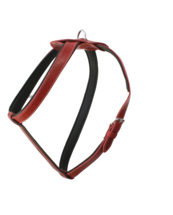 Doggie Konforlu Deriden El Yapımı Köpek Göğüs Tasması 2,5 x 60-85 cm Kırmızı