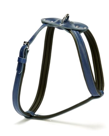 Doggie Konforlu Deriden El Yapımı Köpek Göğüs Tasması 1,5 x 40-60 cm Mavi