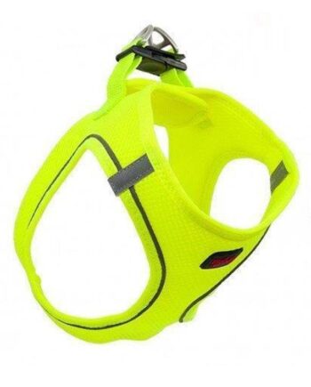 Tailpetz Air Mesh Köpek Göğüs Tasması X Large 54x60 cm Neon Lime
